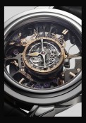 Tourbillon Central Co-Axial Platine Squelette Edition Limitée