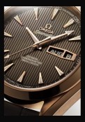 Seamaster Aqua Terra Calendrier Annuel