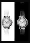 C2 Chronograph Black & White - BlackFrost