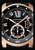 Calibre de Cartier Diver