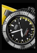 Aquis Depth Gauge