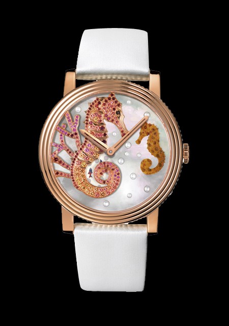 crazy-jungle-seahorse.jpg