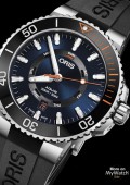 Oris Staghorn Restoration Limited Edition