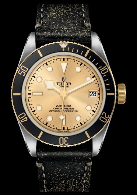 Watch BLACK BAY S&G | Tudor M79733N-0003 Steel - Champagne Dial 