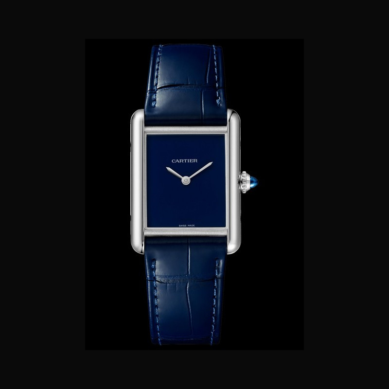 Strap Guide: Cartier Tank Must Blue WSTA0055 - Delugs