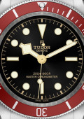 Tudor Black Bay