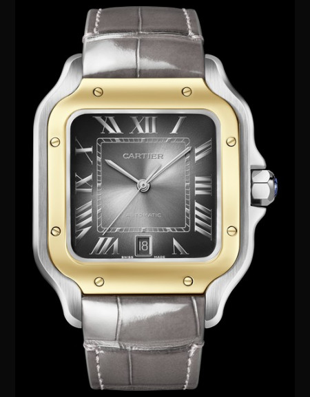 Santos de Cartier Watch