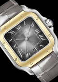 Santos de Cartier Watch