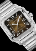 Santos de Cartier Watch