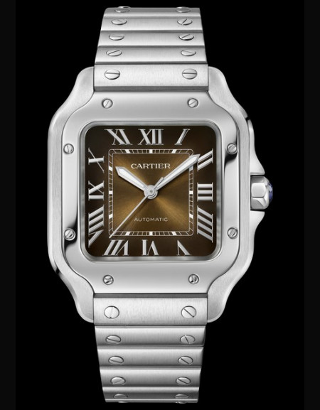 Santos de Cartier Watch