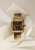 Santos-Dumont Watch