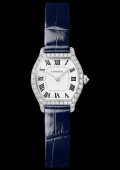 Tortue Watch