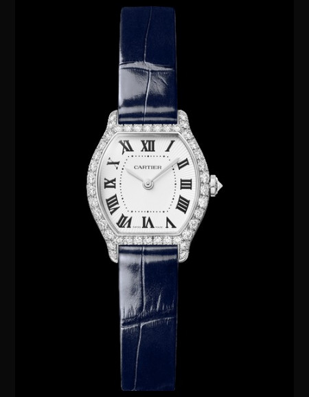 Tortue Watch