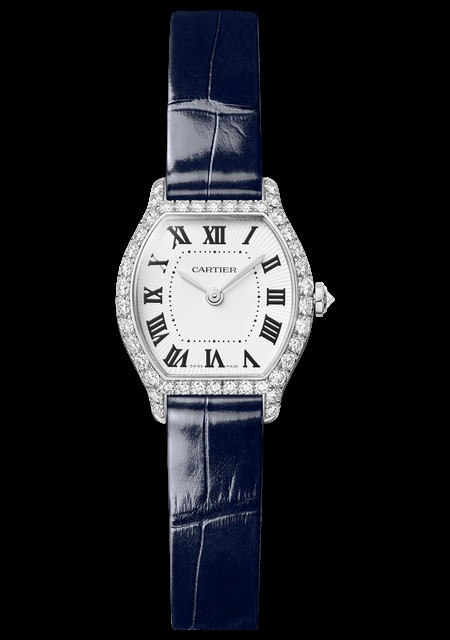 Tortue Watch