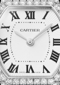 Tortue Watch