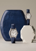 Tortue Watch