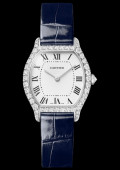 Tortue Watch