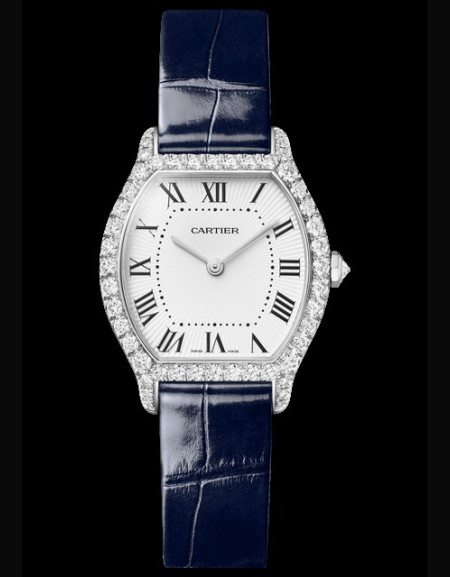 Tortue Watch