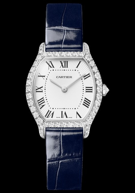 Tortue Watch