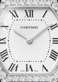 Tortue Watch