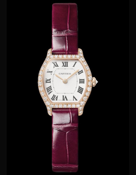 Tortue Watch
