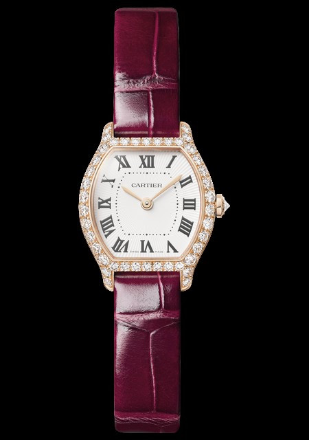 Tortue Watch