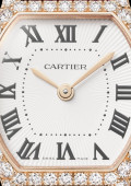 Tortue Watch