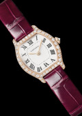 Tortue Watch