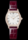 Tortue Watch