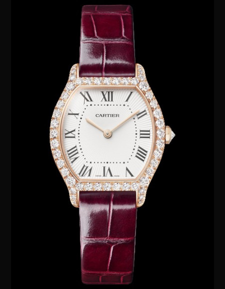 Tortue Watch