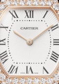 Tortue Watch