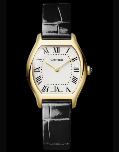 Tortue Watch
