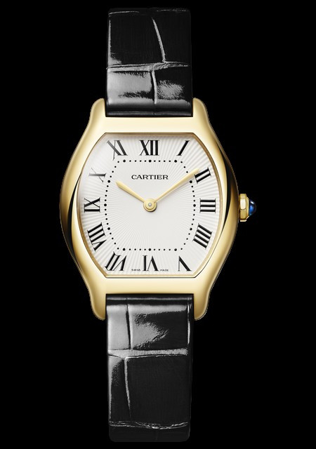 Tortue Watch