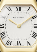 Tortue Watch