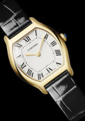Tortue Watch