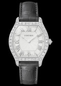 Tortue Watch