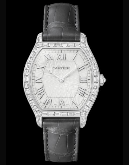 Tortue Watch