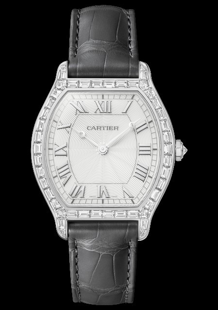 Tortue Watch