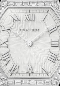 Tortue Watch