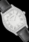 Tortue Watch