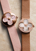 Color Blossom