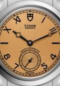 Tudor Monarch