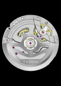 Tudor Royal 40