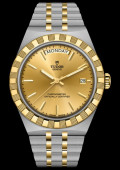 Tudor Royal 40