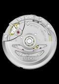 Tudor Royal 36