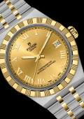 Tudor Royal 36