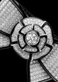 Manchette Nœud de Camélia Diamants