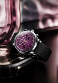 Sixties Chronograph Annual Edition