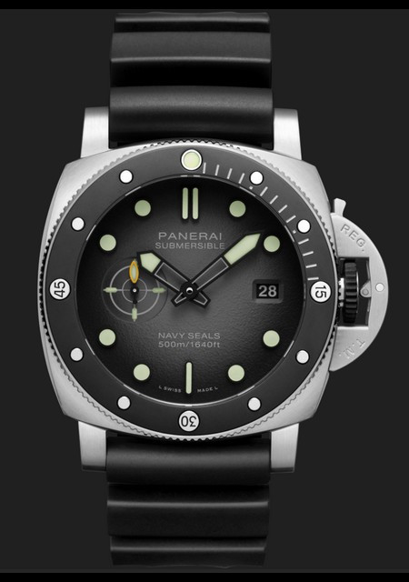 Submersible Navy Seals