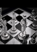 THE CHESSBOARD
